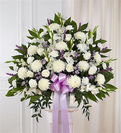 plants for funeral|sympathy plants for delivery.